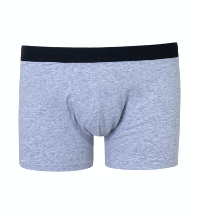 Men's boxer