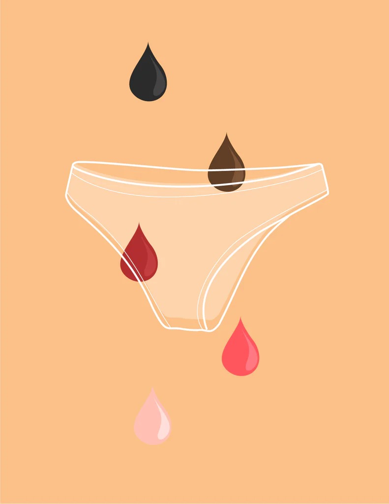 What does our blood indicate when menstruation arrives?